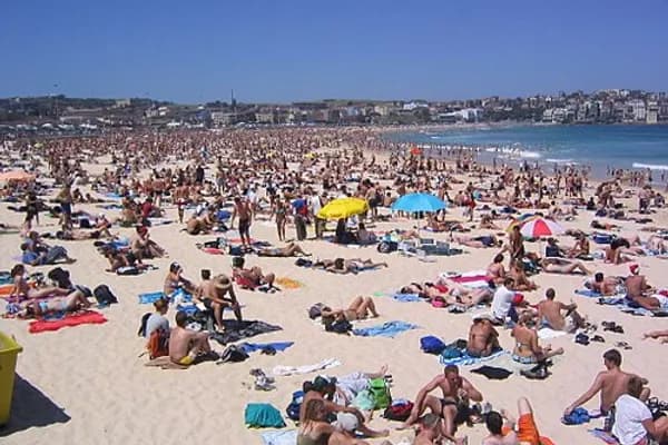 Bondi photo 5