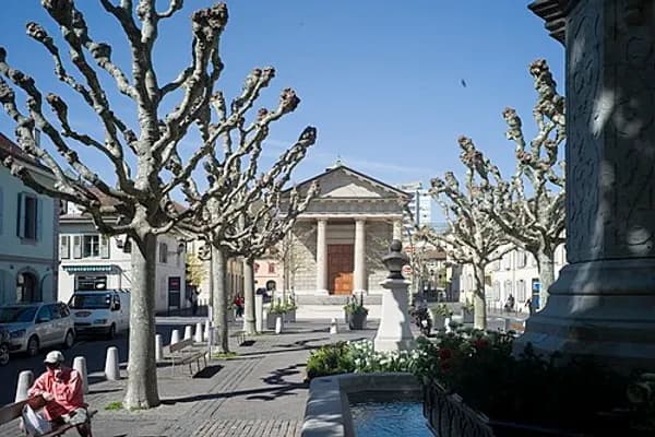 Carouge photo 1