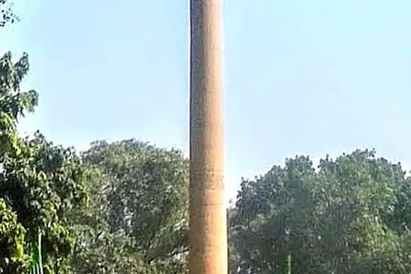 Malviya Nagar photo 4