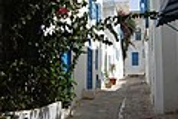 Sidi Bou Said photo 4