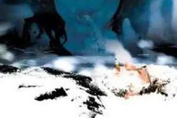 101 Reykjavik photo 1