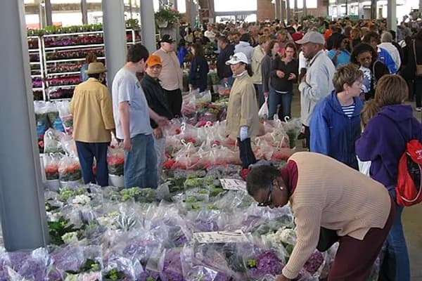 Eastern Market photo 2