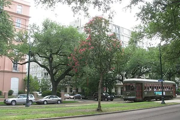 Garden District photo 1