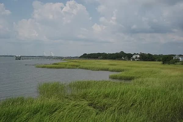 Mount Pleasant photo 4