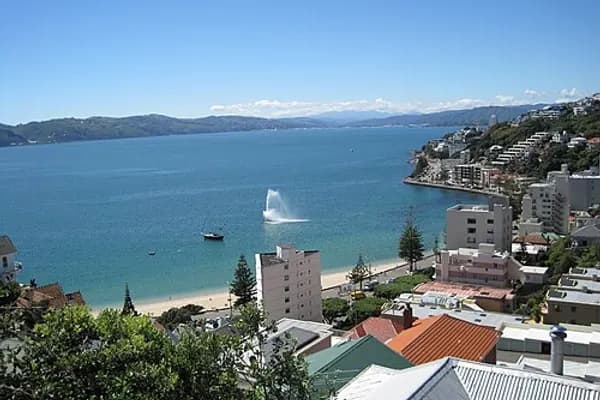 Oriental Bay photo 1