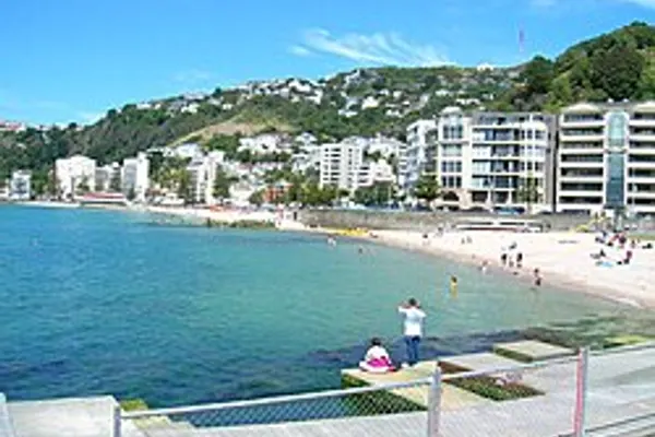 Oriental Bay photo 3