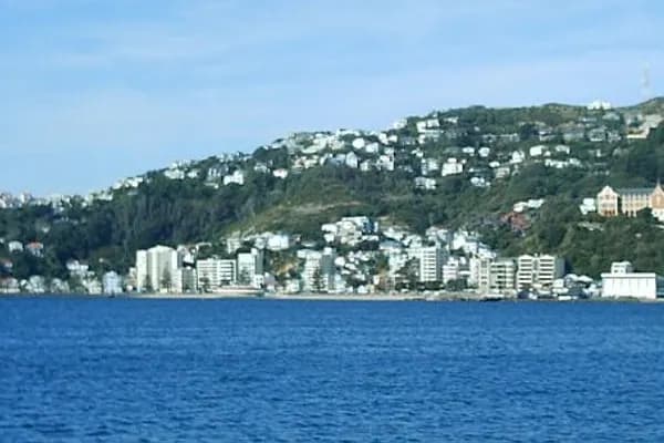 Oriental Bay photo 4