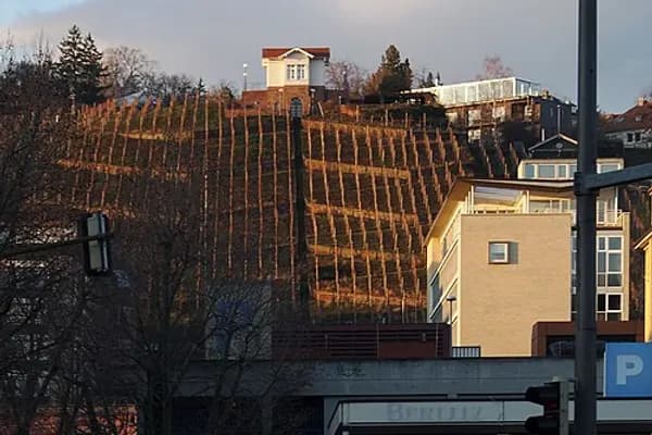 Stuttgart-Mitte photo 4