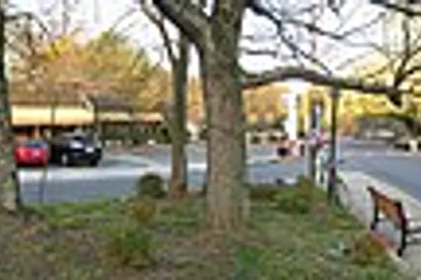 Virginia-Highland photo 3